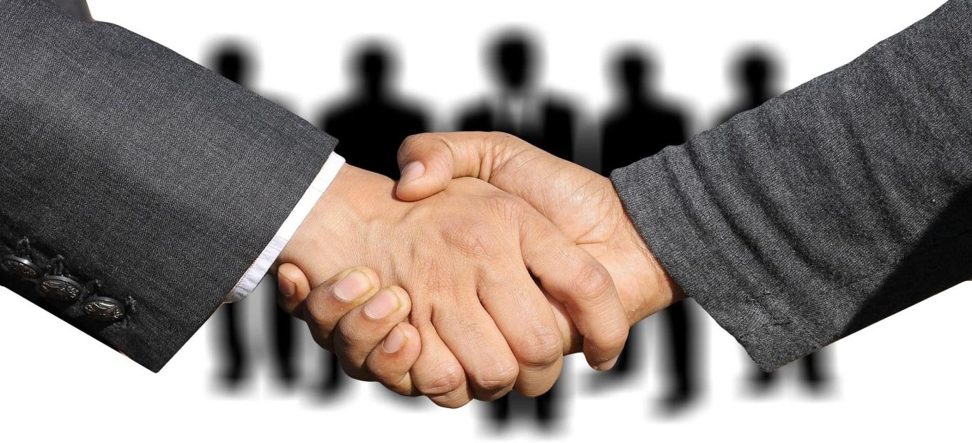 Professional financial advisory partnership